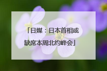 日媒：日本首相或缺席本周北约峰会