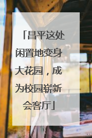 昌平这处闲置地变身大花园，成为校园崭新会客厅