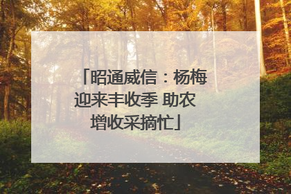 昭通威信：杨梅迎来丰收季 助农增收采摘忙