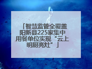 智慧监管全覆盖 阳新县225家集中用餐单位实现“云上明厨亮灶”