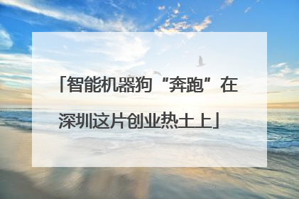 智能机器狗“奔跑”在深圳这片创业热土上
