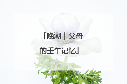 晚潮｜父母的壬午记忆