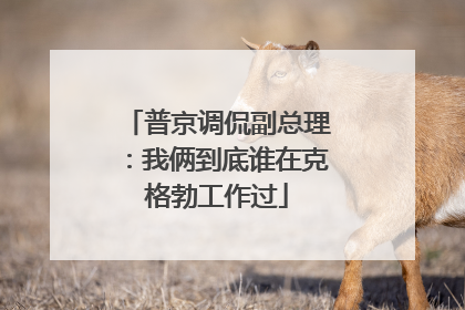 普京调侃副总理：我俩到底谁在克格勃工作过