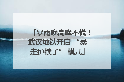 暴雨晚高峰不慌！武汉地铁开启 “暴走护犊子” 模式