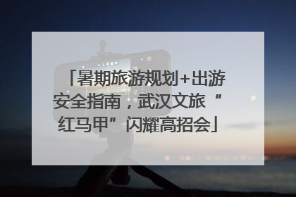 暑期旅游规划+出游安全指南，武汉文旅“红马甲”闪耀高招会