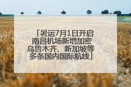 暑运7月1日开启 南昌机场新增加密乌鲁木齐、新加坡等多条国内国际航线