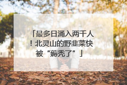 最多日涌入两千人！北灵山的野韭菜快被“薅秃了”