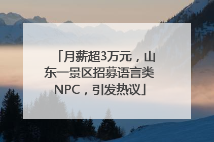 月薪超3万元，山东一景区招募语言类NPC，引发热议