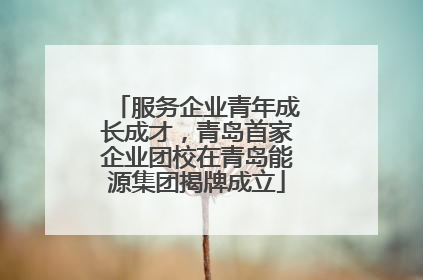 服务企业青年成长成才，青岛首家企业团校在青岛能源集团揭牌成立