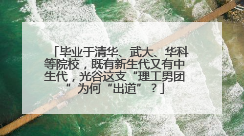 毕业于清华、武大、华科等院校，既有新生代又有中生代，光谷这支“理工男团”为何“出道”？