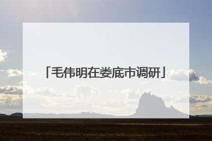 毛伟明在娄底市调研
