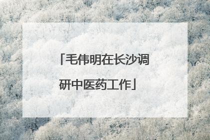 毛伟明在长沙调研中医药工作