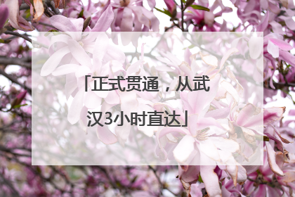 正式贯通，从武汉3小时直达