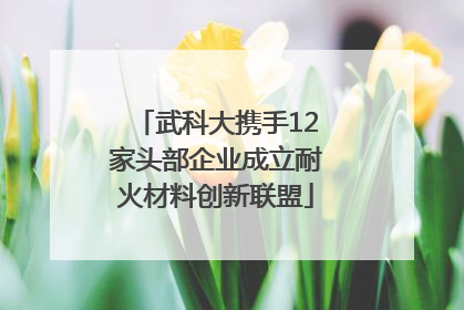武科大携手12家头部企业成立耐火材料创新联盟