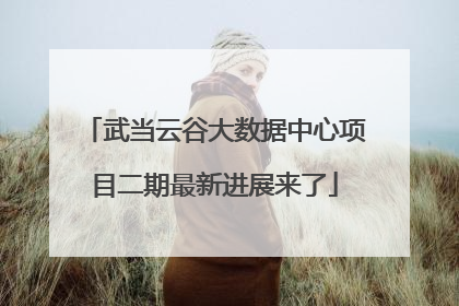 武当云谷大数据中心项目二期最新进展来了