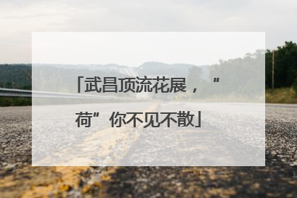 武昌顶流花展，“荷”你不见不散