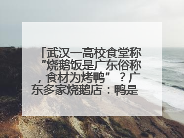 武汉一高校食堂称“烧鹅饭是广东俗称，食材为烤鸭”？广东多家烧鹅店：鸭是鸭鹅是鹅