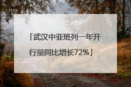 武汉中亚班列一年开行量同比增长72%