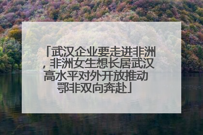 武汉企业要走进非洲，非洲女生想长居武汉 高水平对外开放推动鄂非双向奔赴