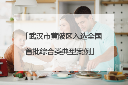 武汉市黄陂区入选全国首批综合类典型案例