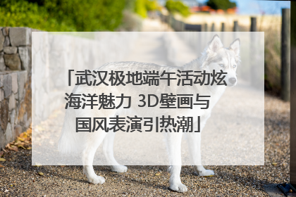 武汉极地端午活动炫海洋魅力 3D壁画与国风表演引热潮