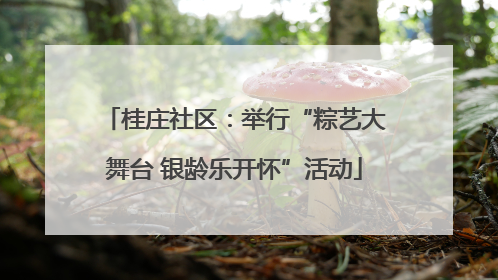 桂庄社区：举行“粽艺大舞台 银龄乐开怀”活动