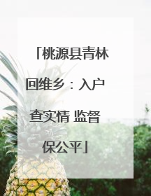 桃源县青林回维乡：入户查实情 监督保公平