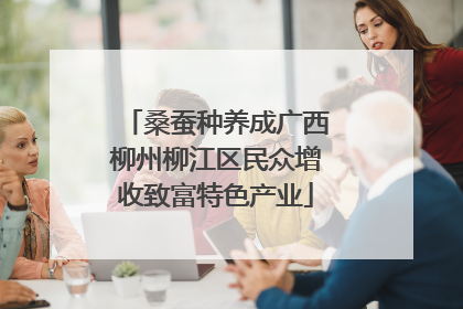 桑蚕种养成广西柳州柳江区民众增收致富特色产业