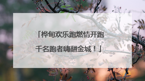 桦甸欢乐跑燃情开跑 千名跑者嗨翻金城！