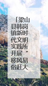 梁山县韩岗镇新时代文明实践所开展“移风易俗赶大集”主题宣传活动