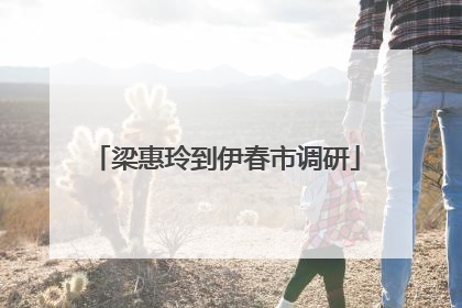 梁惠玲到伊春市调研
