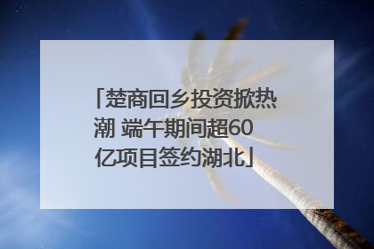 楚商回乡投资掀热潮 端午期间超60亿项目签约湖北
