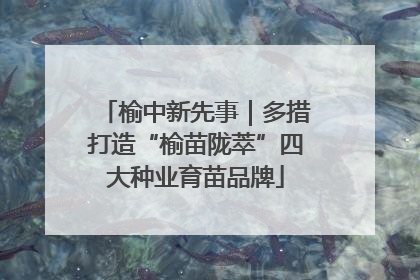 榆中新先事｜多措打造“榆苗陇萃”四大种业育苗品牌