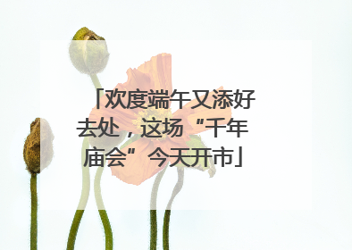 欢度端午又添好去处，这场“千年庙会”今天开市