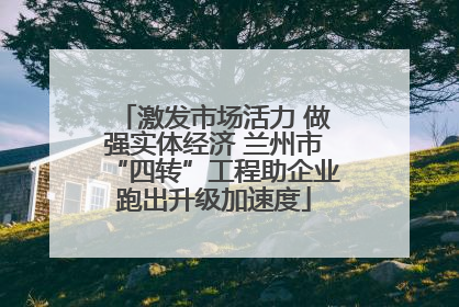 激发市场活力 做强实体经济 兰州市“四转”工程助企业跑出升级加速度