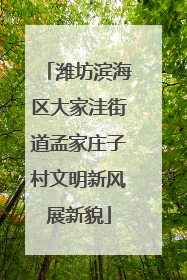 潍坊滨海区大家洼街道孟家庄子村文明新风展新貌