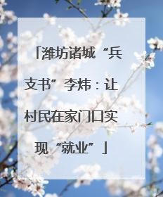 潍坊诸城“兵支书”李炜：让村民在家门口实现“就业”