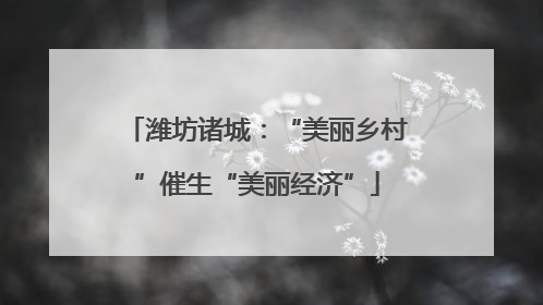潍坊诸城：“美丽乡村”催生“美丽经济”