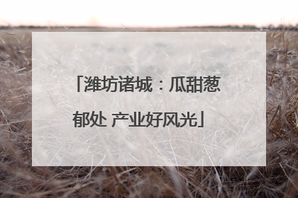 潍坊诸城：瓜甜葱郁处 产业好风光