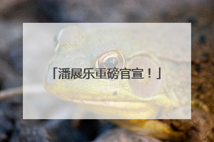 潘展乐重磅官宣！