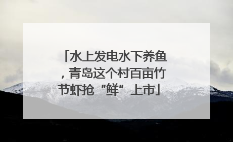 水上发电水下养鱼，青岛这个村百亩竹节虾抢“鲜”上市