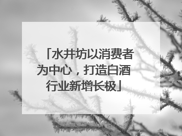 水井坊以消费者为中心，打造白酒行业新增长极