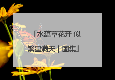 水蕴草花开 似繁星满天｜图集