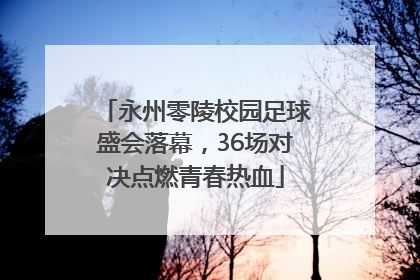 永州零陵校园足球盛会落幕，36场对决点燃青春热血