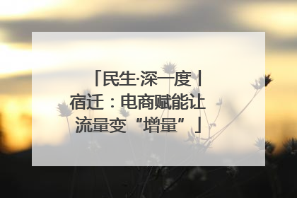 民生·深一度丨宿迁：电商赋能让流量变“增量”