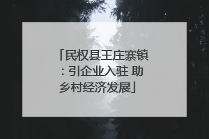 民权县王庄寨镇：引企业入驻 助乡村经济发展