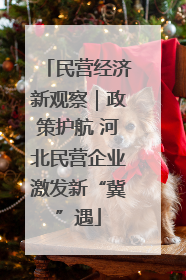民营经济新观察｜政策护航 河北民营企业激发新“冀”遇