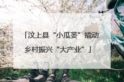 汶上县“小瓜蒌”撬动乡村振兴“大产业”