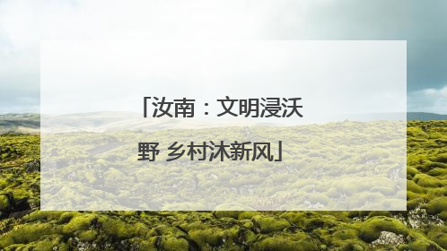 汝南：文明浸沃野 乡村沐新风