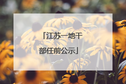 江苏一地干部任前公示